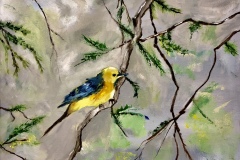 Bird on a Branch